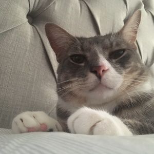 Meet your Posher, De